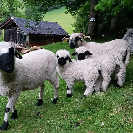 Schieplechnerhof アパート *