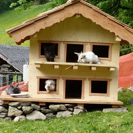 Schieplechnerhof Apartman *