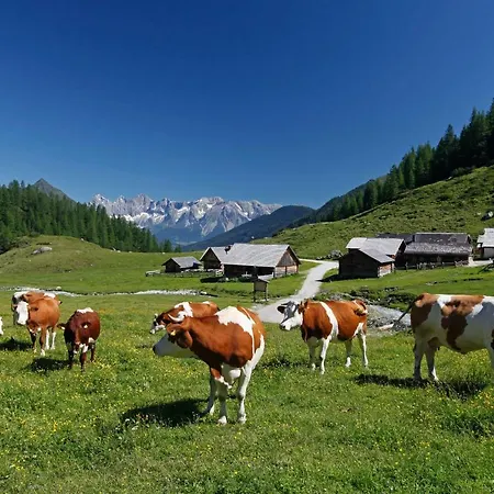 Schieplechnerhof Schladming