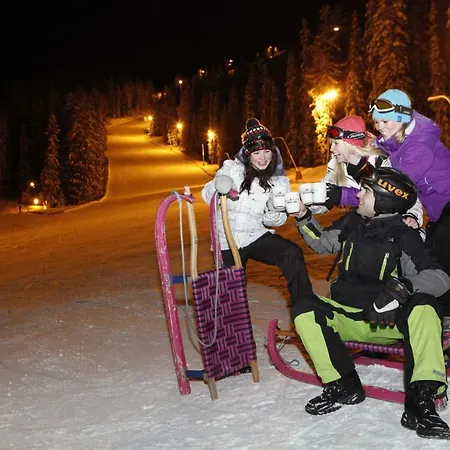 Schieplechnerhof Appartement Schladming