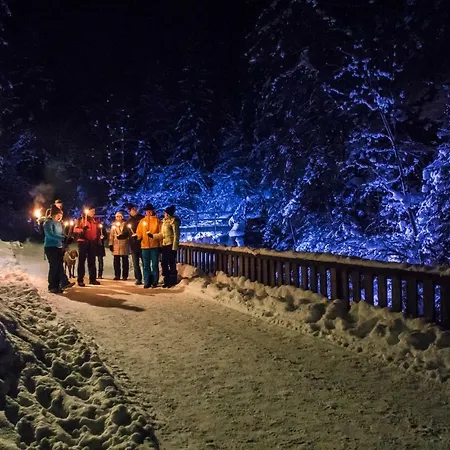 Appartement Schieplechnerhof