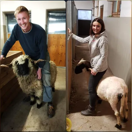 Schieplechnerhof Appartement