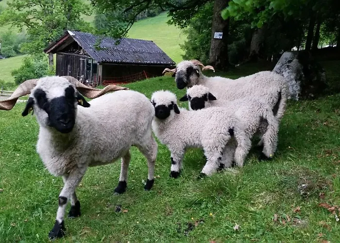 Schieplechnerhof Appartement *