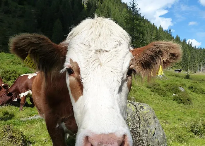 Schieplechnerhof Apartmán *