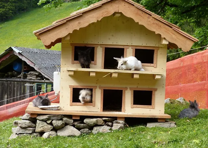 Schieplechnerhof Apartamento *