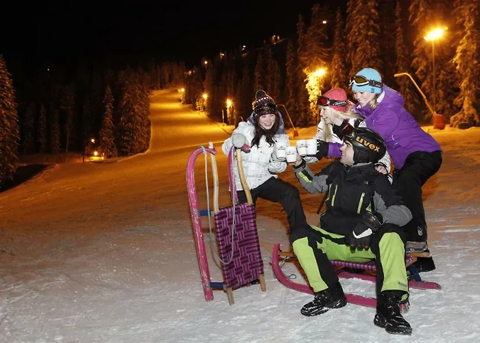 Schieplechnerhof Appartement Schladming