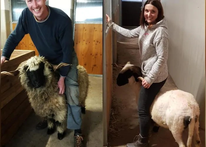 Schieplechnerhof Appartement